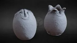 3D PRINTBL ALIEN EGG OPEN AND CLOSED FLAT BOTTOM