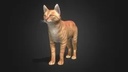 Cat Simple