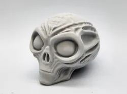 Mummified Alien Skull