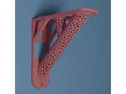 Organic Shelf Bracket
