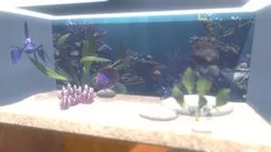 Aqua Collection - Tank 1