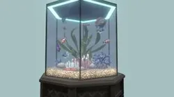 Aqua Collection - Tank 2