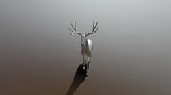 Deer Modal