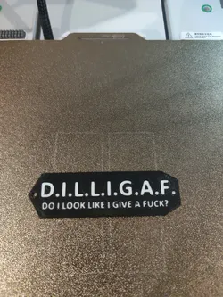 Funny keychain Dilligaf