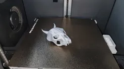 Dog skull with horns