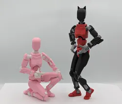 Dummy 13 Lady