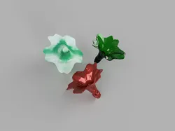 flower Lilly