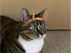 Loki/Sylvie crown (Cat variant)