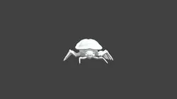 MEATBUG_1