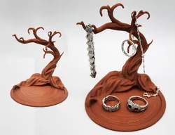 Namibian Acacia Jewelry Tree