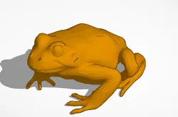 frog