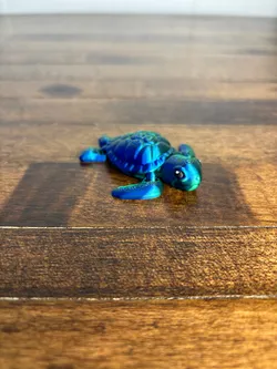 Sea Turtle