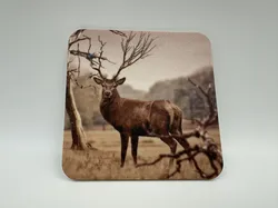 Sublimation Blanks & Tutorial