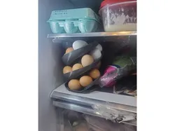 Egg Spiral