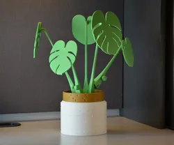 Planter Vase Pot for ForgeCore Monstera Coaster Plant