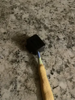 Toothbrush Case