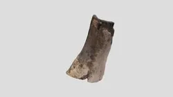 Cremated bone (ossa longa)