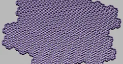 Floret Coaster