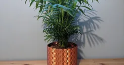 Large Plant Pot "Gladis"