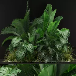 Plants collection 357 3D model