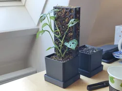 Modular pot with moss pole