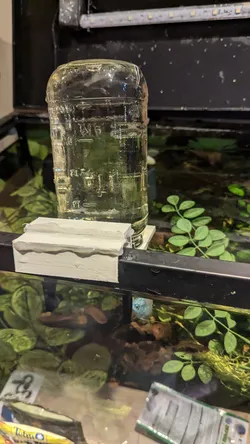 Panoramic Fish View Using Jar