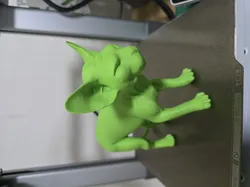 sphynx