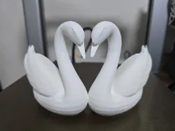 Swan love