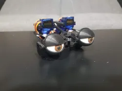 Animatronic Eye Assembly