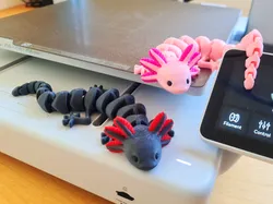 Articulated Axolotl (Multicolor)