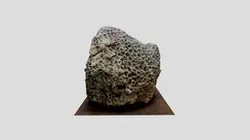 Coral Stone Sample #01