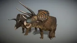 Triceratops Horridus