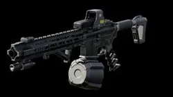 AR-15 CUSTOM