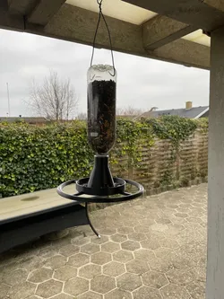 Birdfeeder for bottle