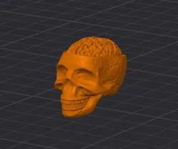 Dummy 13 Skull Head Revised