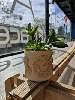 Fuzzy pattern planter