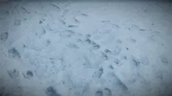 Ground Snow 1