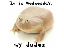it is wednesday butt