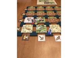 Minecraft Builders & Biomes Insert