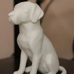 perro