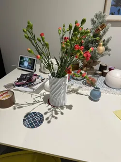 Spiral vase (tick wall)