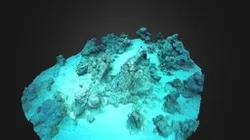 Stern Anchor
