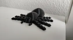 Articulated Spider