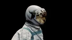 Gemini Suit