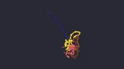 splat