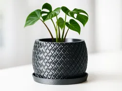 Susy Planter - Vase - Pot - Home Decor - Design
