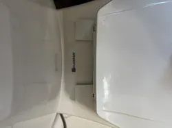 Toilet screws and nuts