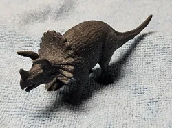 Triceratops