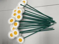 Daisy