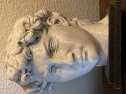 David